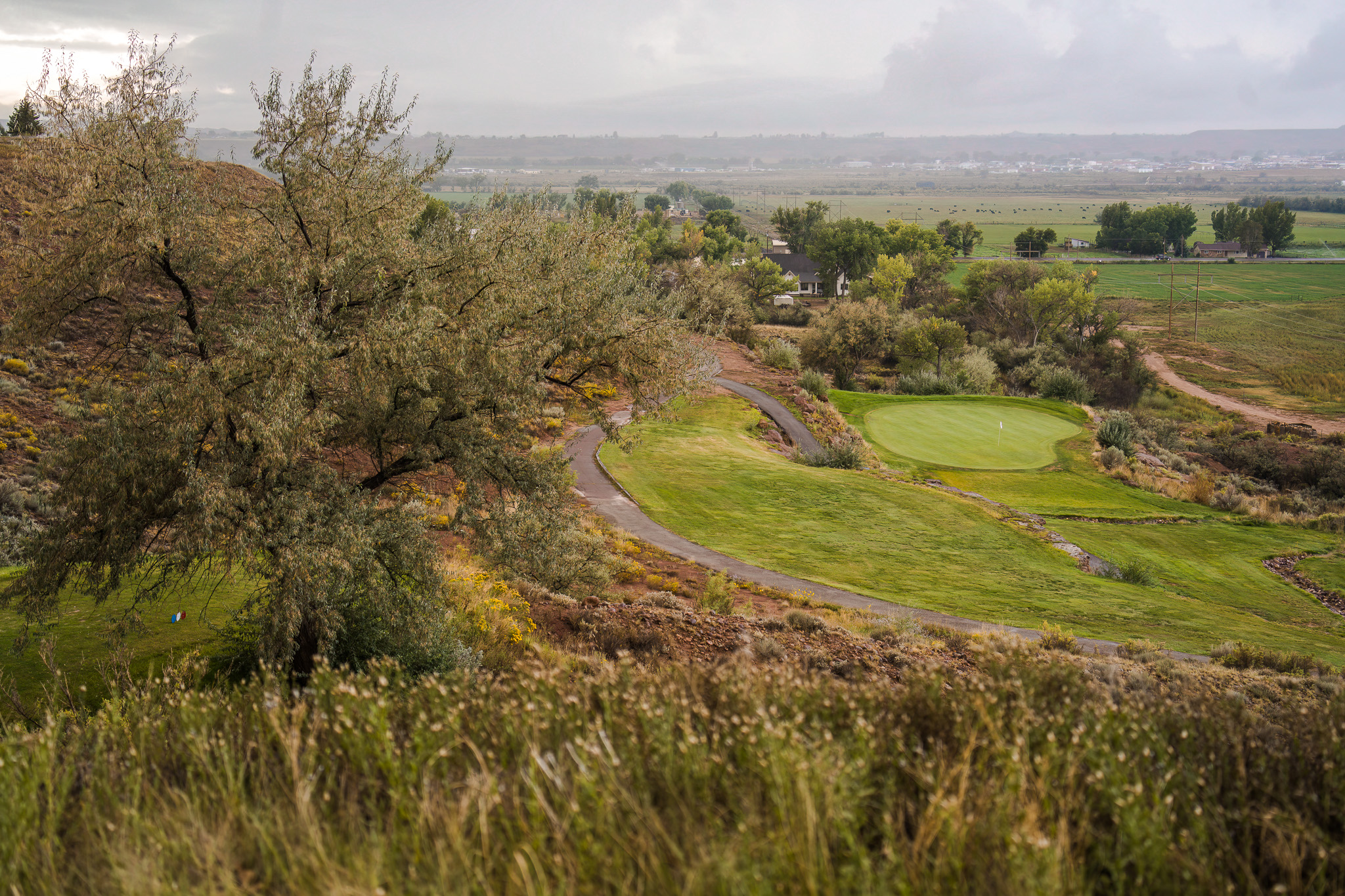 photo from above a golf course hole